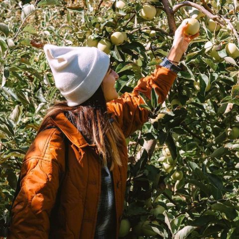 things to do this fall
