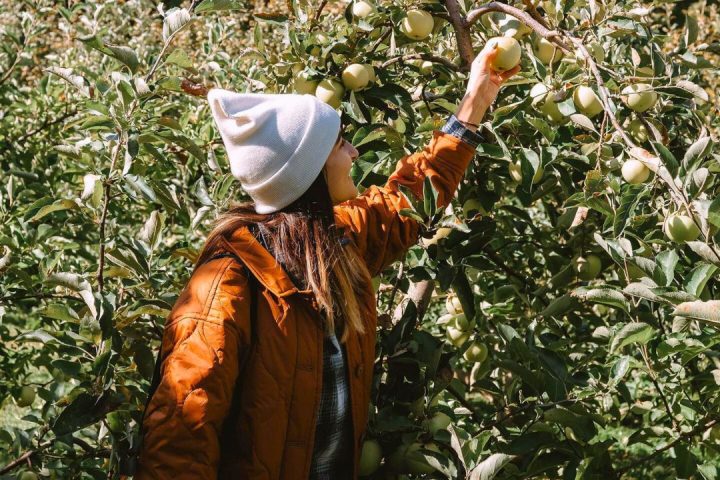 things to do this fall